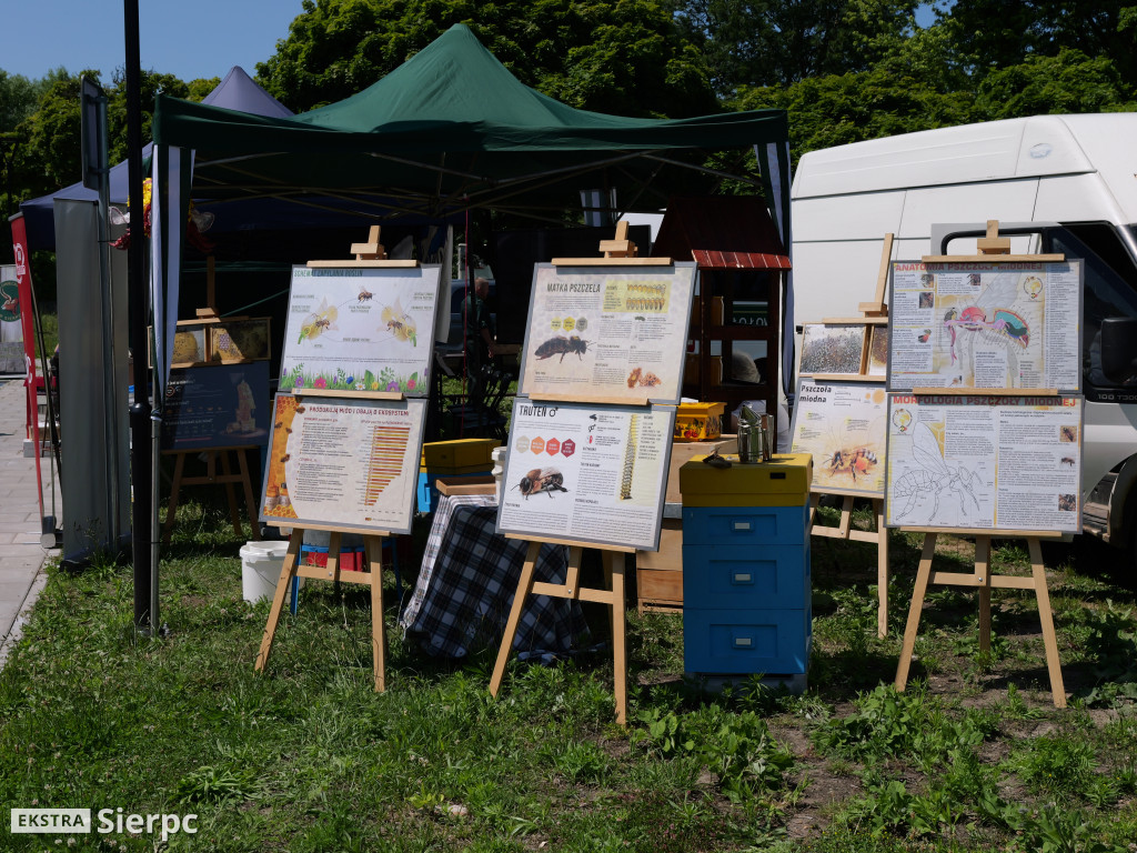 Sierpecki Festiwal Bioróżnorodności