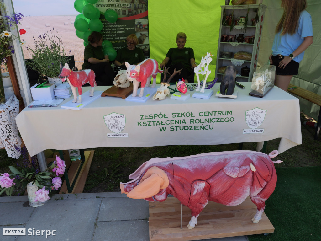 Sierpecki Festiwal Bioróżnorodności