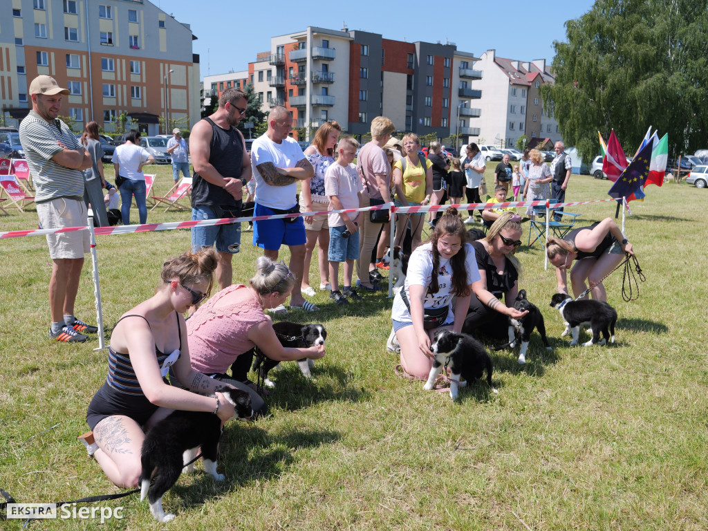 Klubowa Wystawa Psów Rasowych