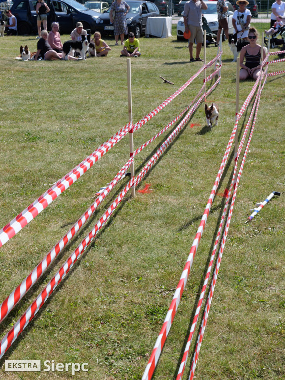 Klubowa Wystawa Psów Rasowych