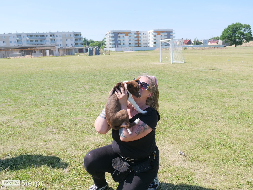 Klubowa Wystawa Psów Rasowych