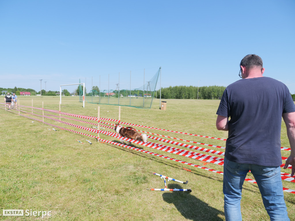 Klubowa Wystawa Psów Rasowych