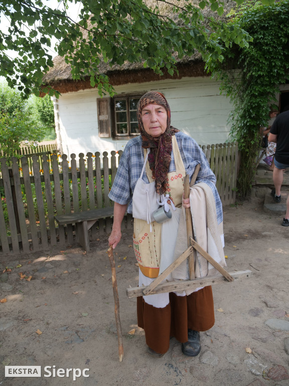 Żniwa w skansenie