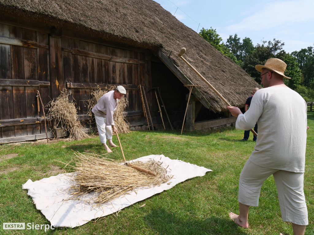 Żniwa w skansenie