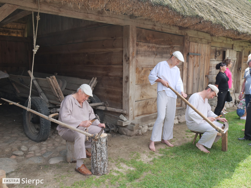 Żniwa w skansenie
