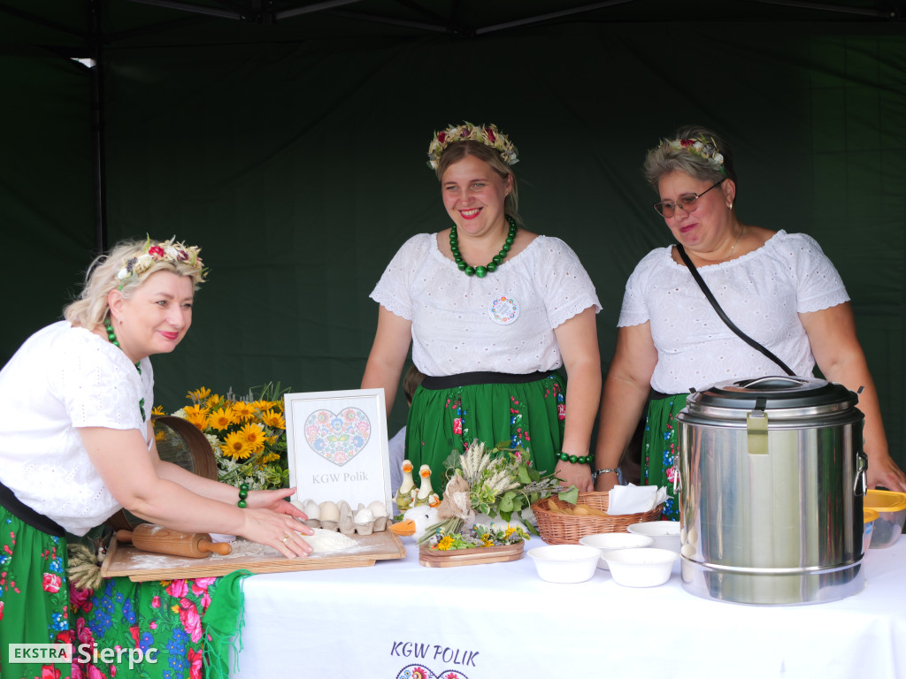 Piknik kulinarny