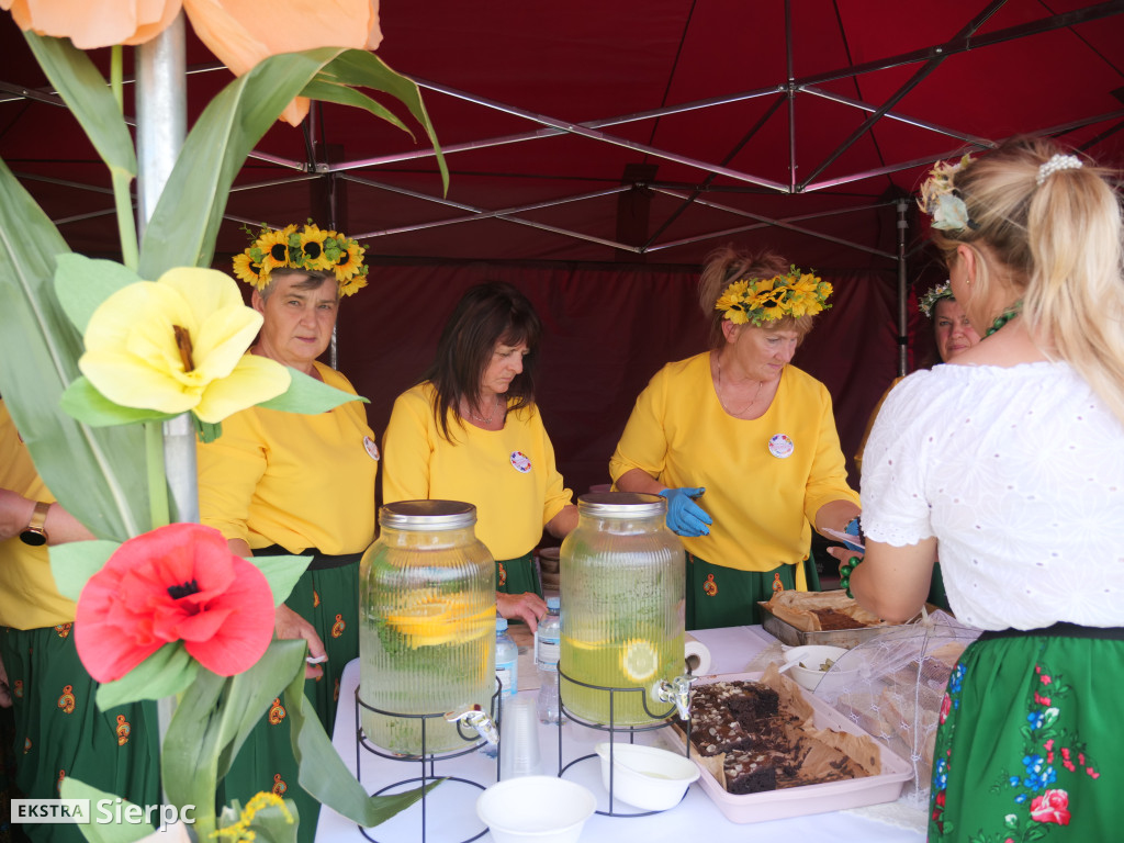 Piknik kulinarny