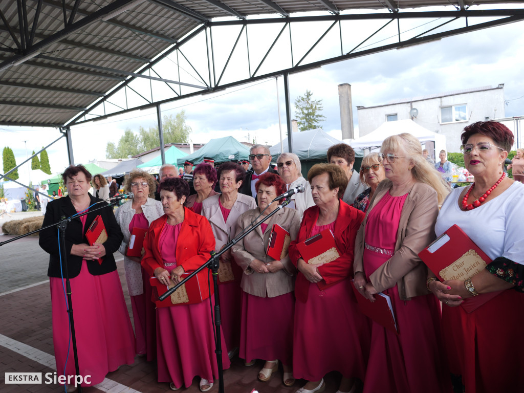 Dożynki w Mochowie