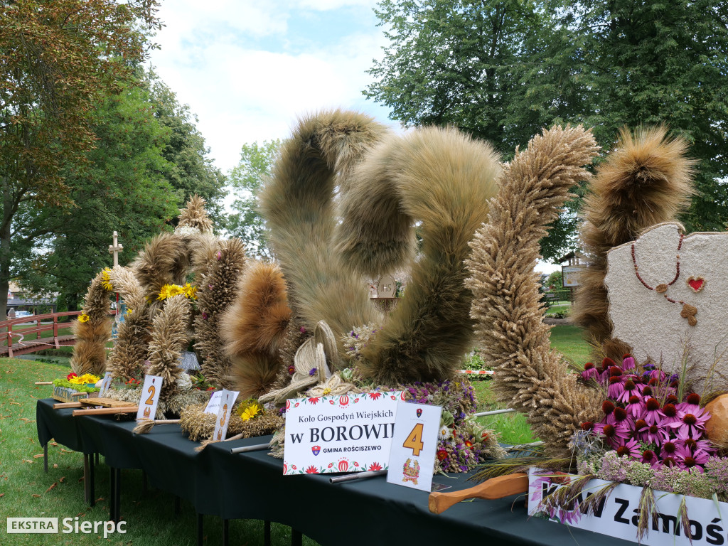 Dożynki Gminne w Rościszewie