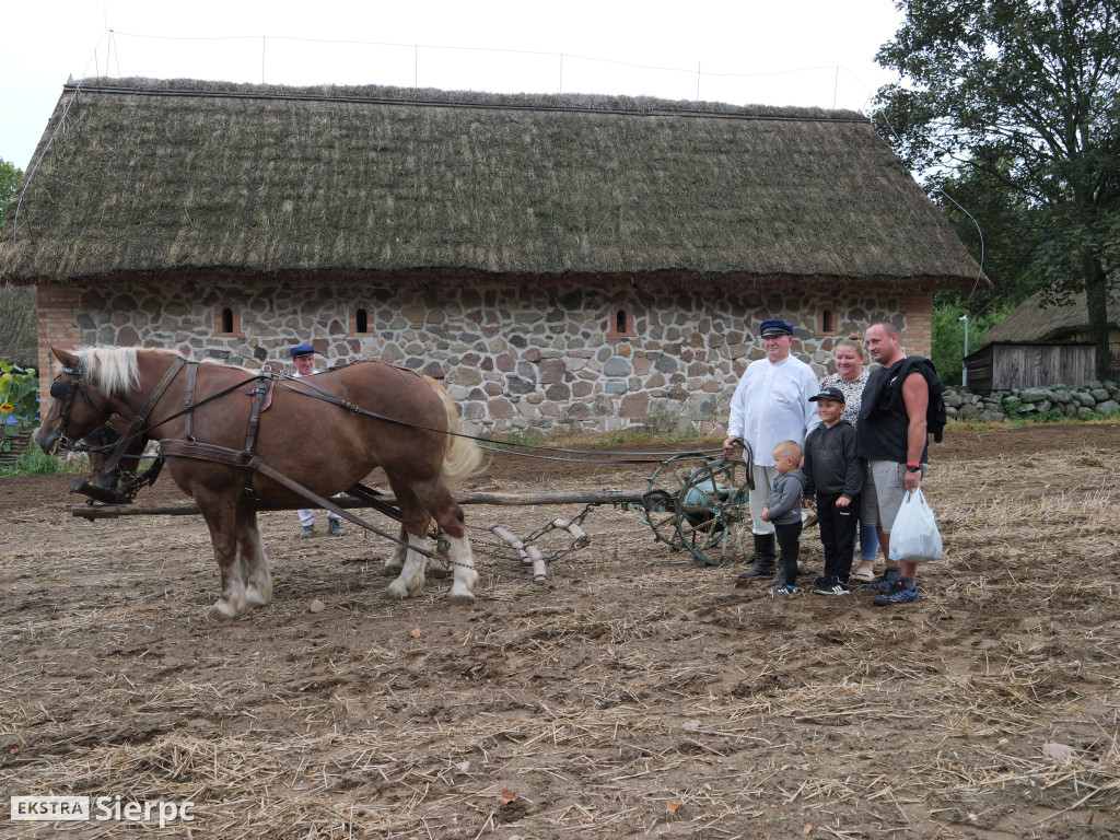 Wykopki w skansenie