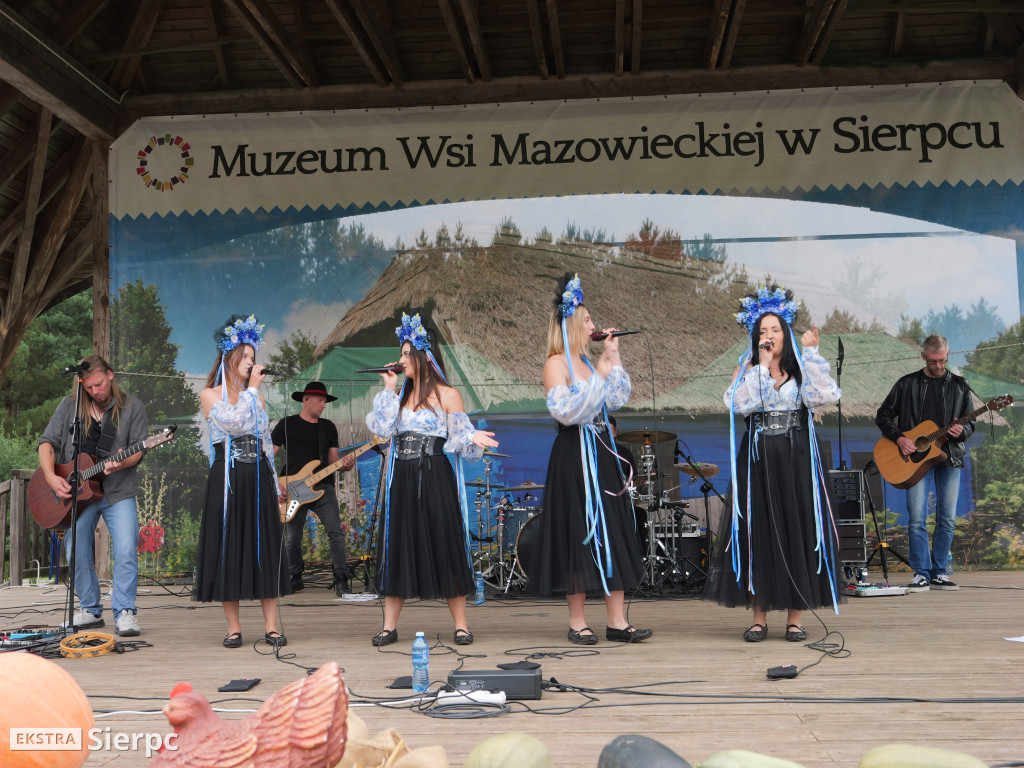 Wykopki w skansenie