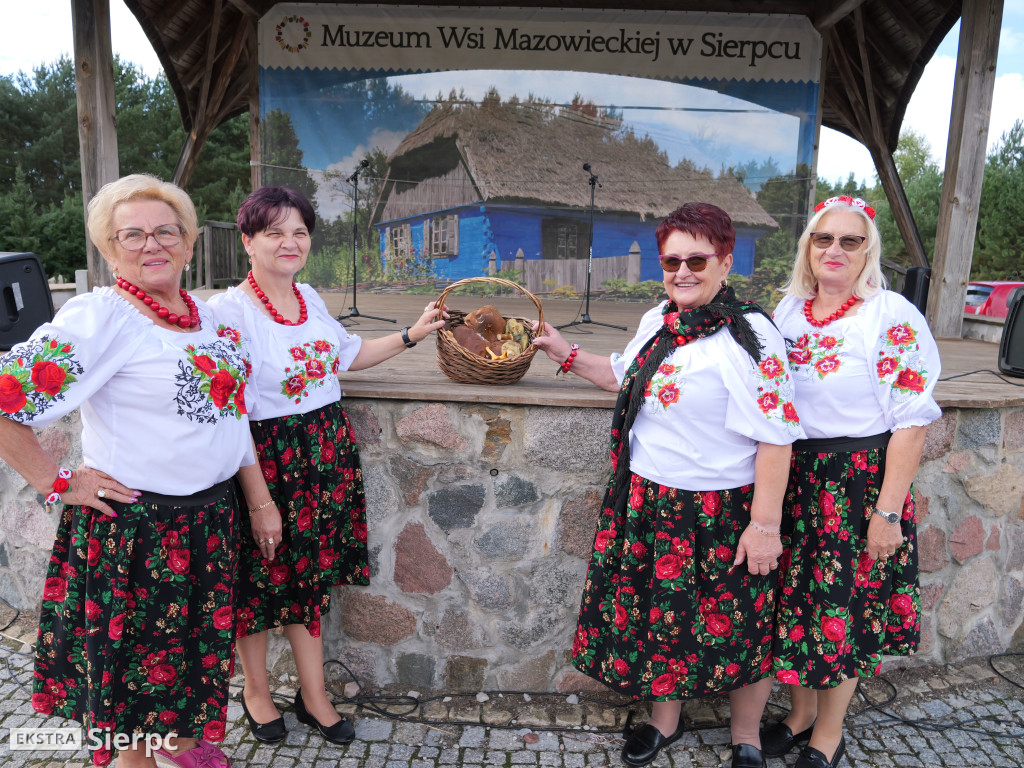 Spotkanie seniorów z Sierpca i Woli