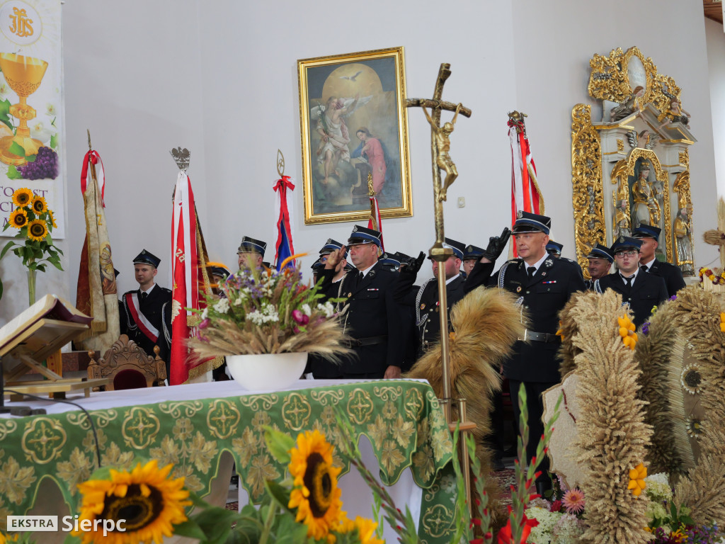 XIV Powiatowo-Gminne Dożynki w Zawidzu