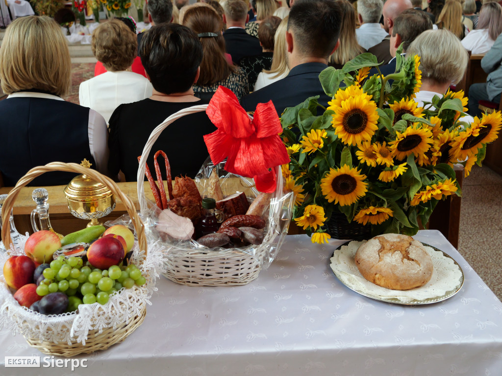 XIV Powiatowo-Gminne Dożynki w Zawidzu