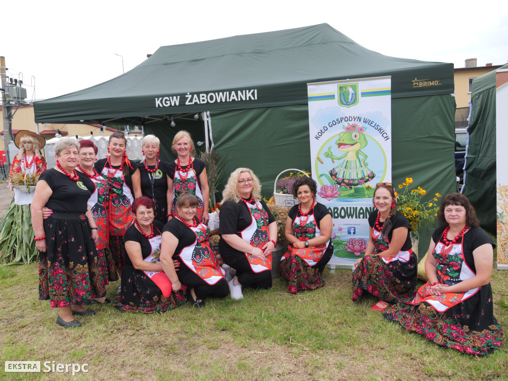 XIV Powiatowo-Gminne Dożynki w Zawidzu