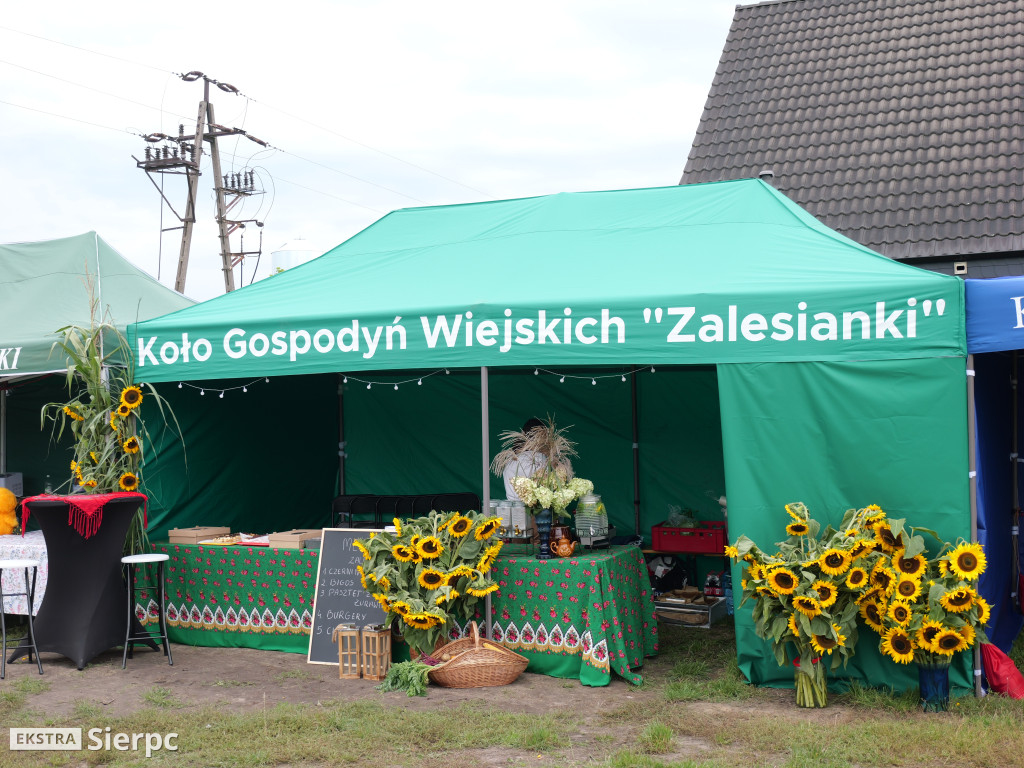 XIV Powiatowo-Gminne Dożynki w Zawidzu