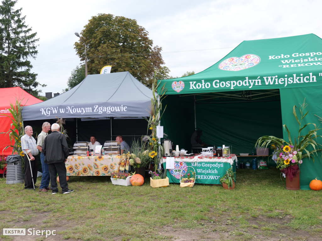 XIV Powiatowo-Gminne Dożynki w Zawidzu