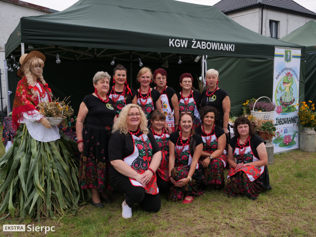 XIV Powiatowo-Gminne Dożynki w Zawidzu