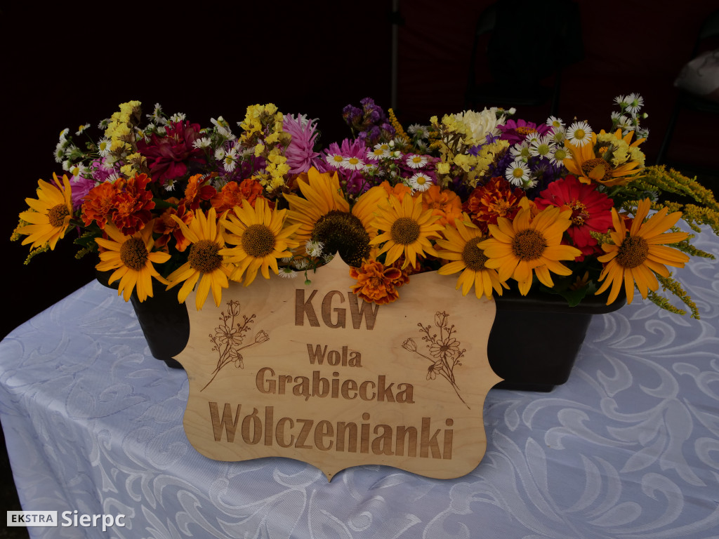 XIV Powiatowo-Gminne Dożynki w Zawidzu