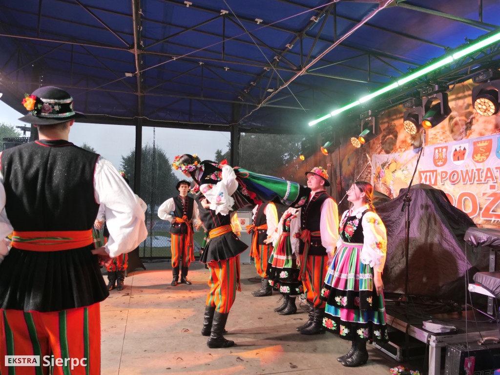 XIV Powiatowo-Gminne Dożynki w Zawidzu