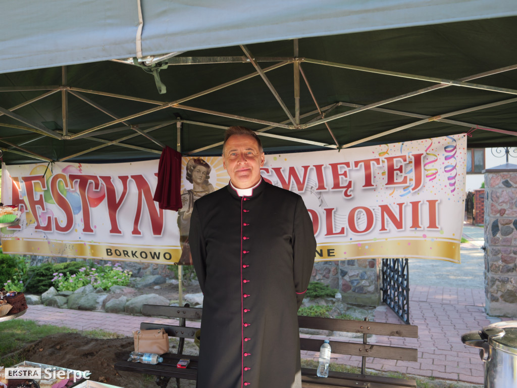 II Festyn św. Apolonii