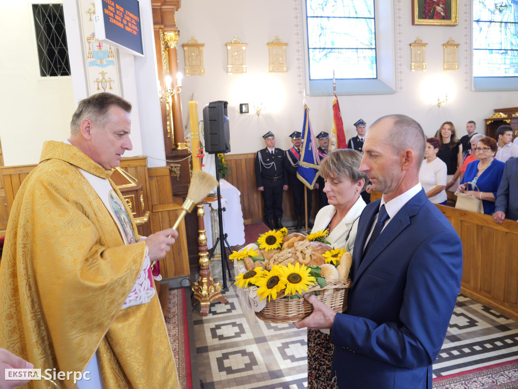 II Festyn św. Apolonii