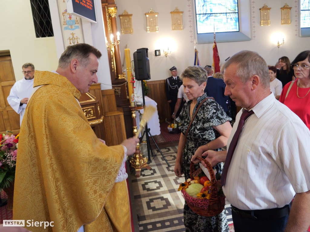 II Festyn św. Apolonii