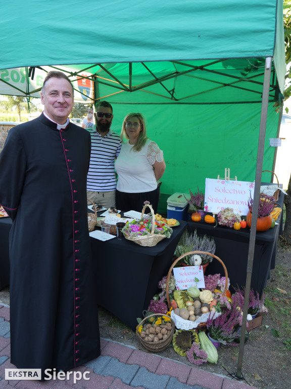 II Festyn św. Apolonii