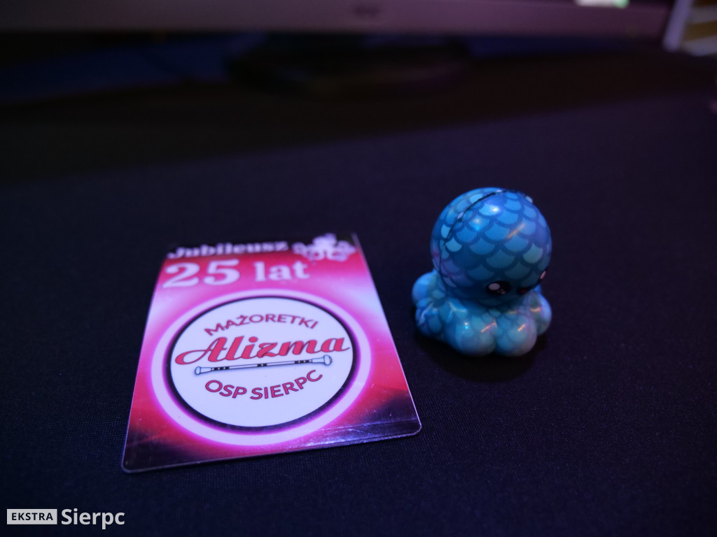 25 lat Alizmy Sierpc