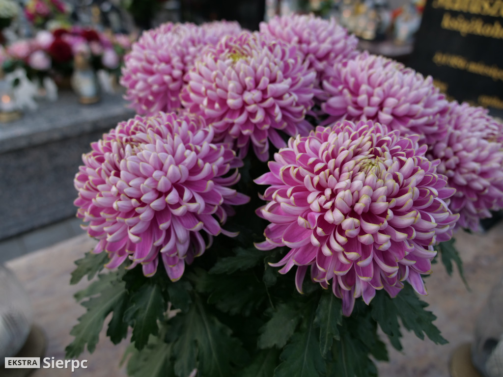 Wszystkich Świętych na sierpeckich cmentarzach