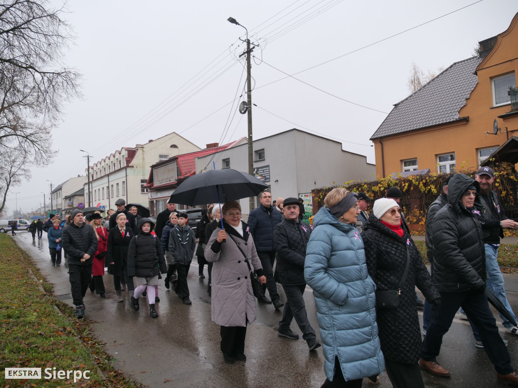 Święto Niepodległości w Sierpcu