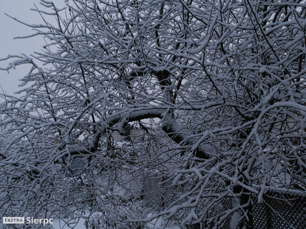 Zima na sierpeckim Dołku