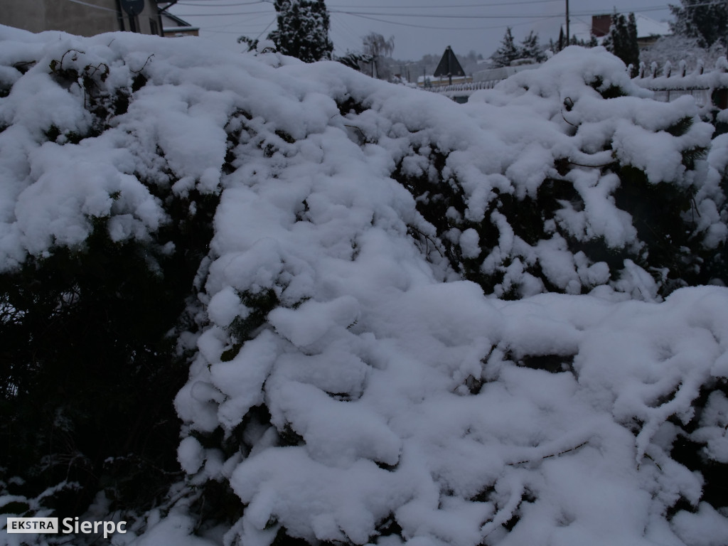 Zima na sierpeckim Dołku