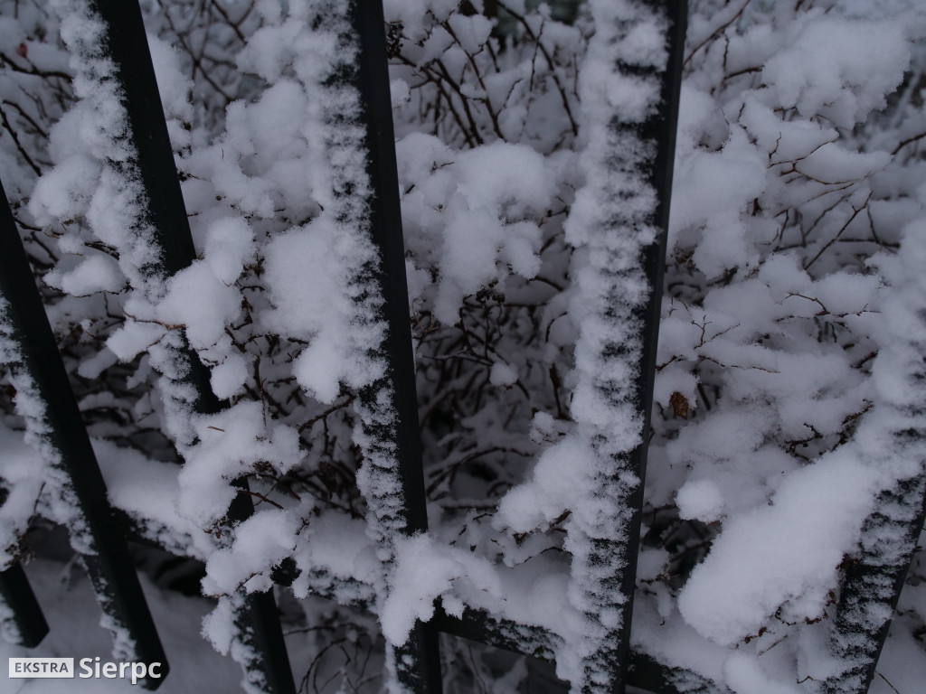 Zima na sierpeckim Dołku