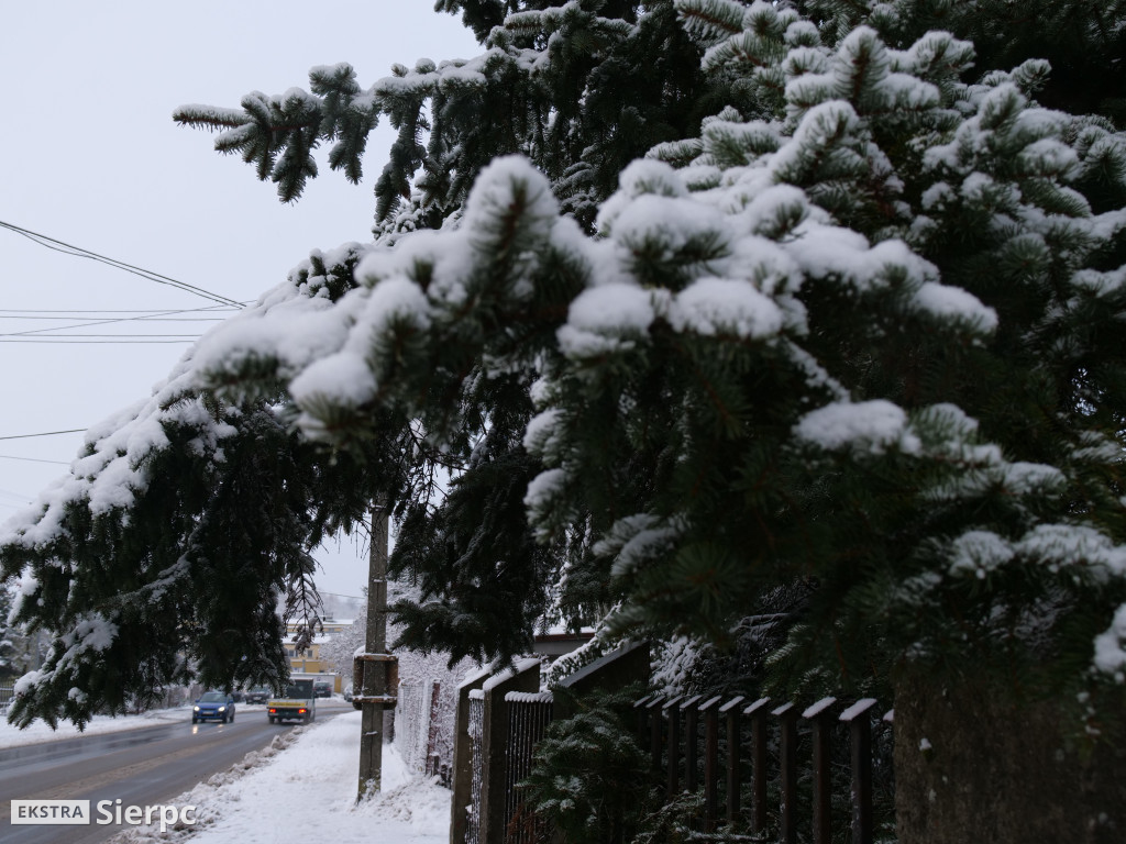 Zima na sierpeckim Dołku