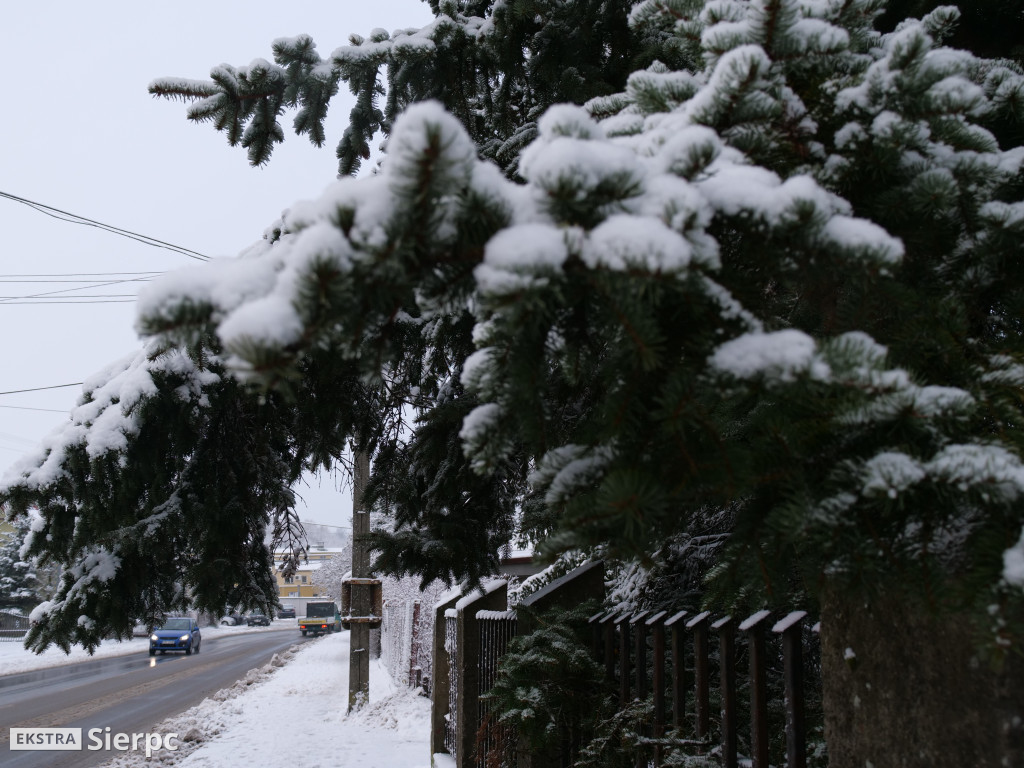 Zima na sierpeckim Dołku