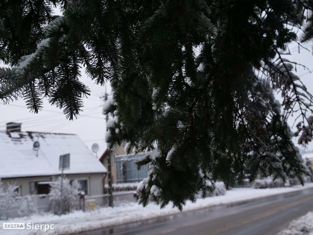 Zima na sierpeckim Dołku