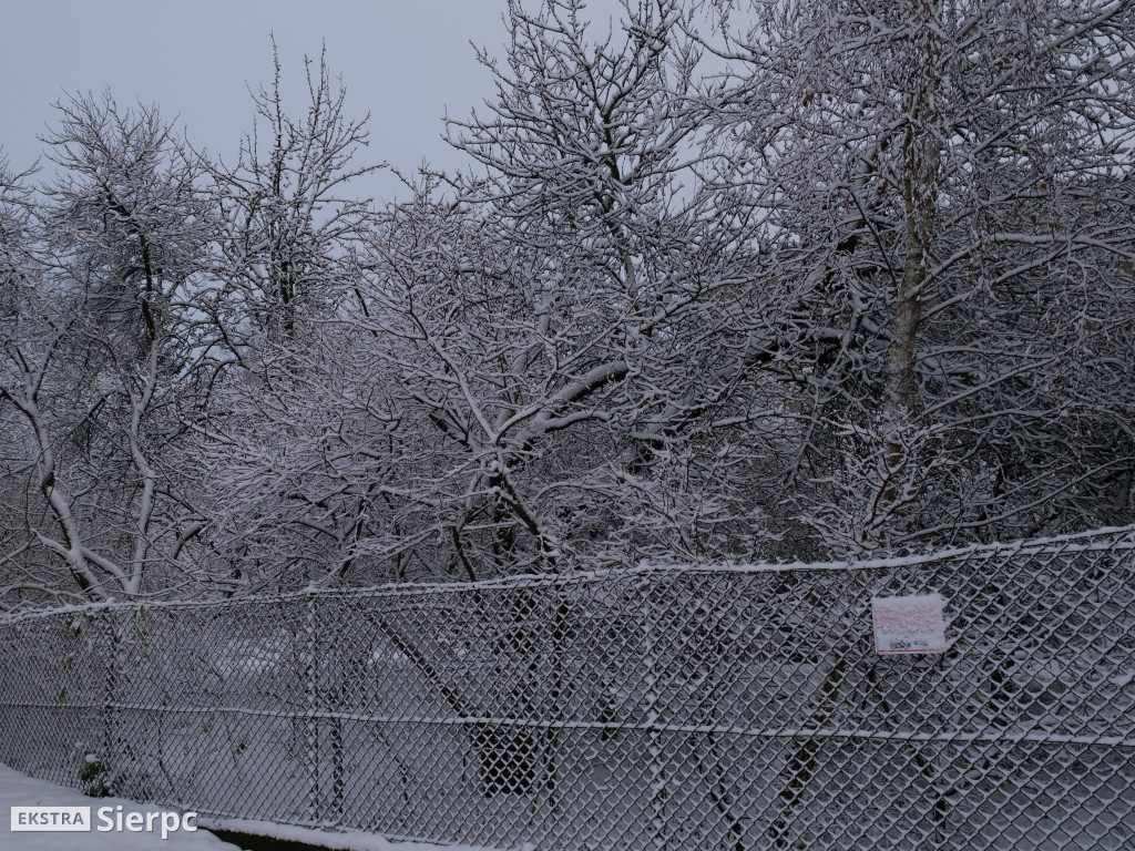 Zima na sierpeckim Dołku