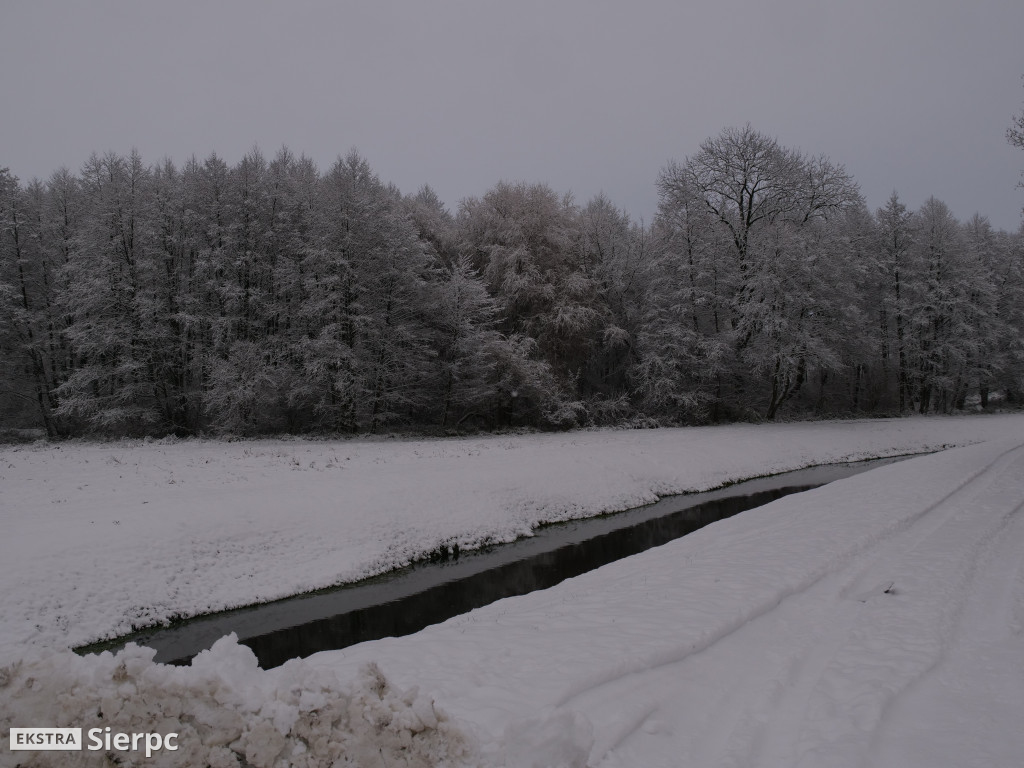 Zima na sierpeckim Dołku