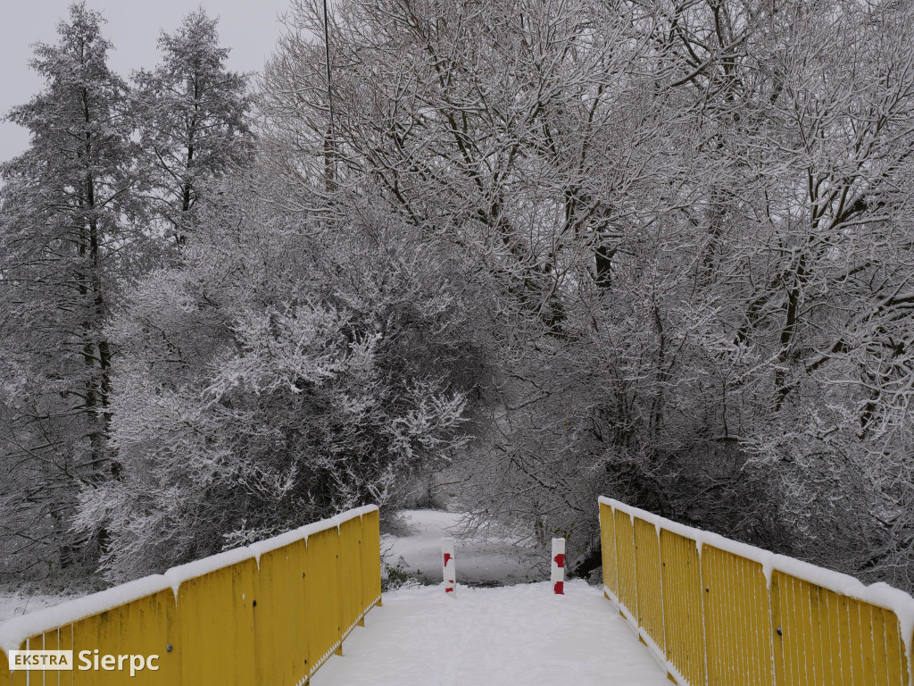 Zima na sierpeckim Dołku