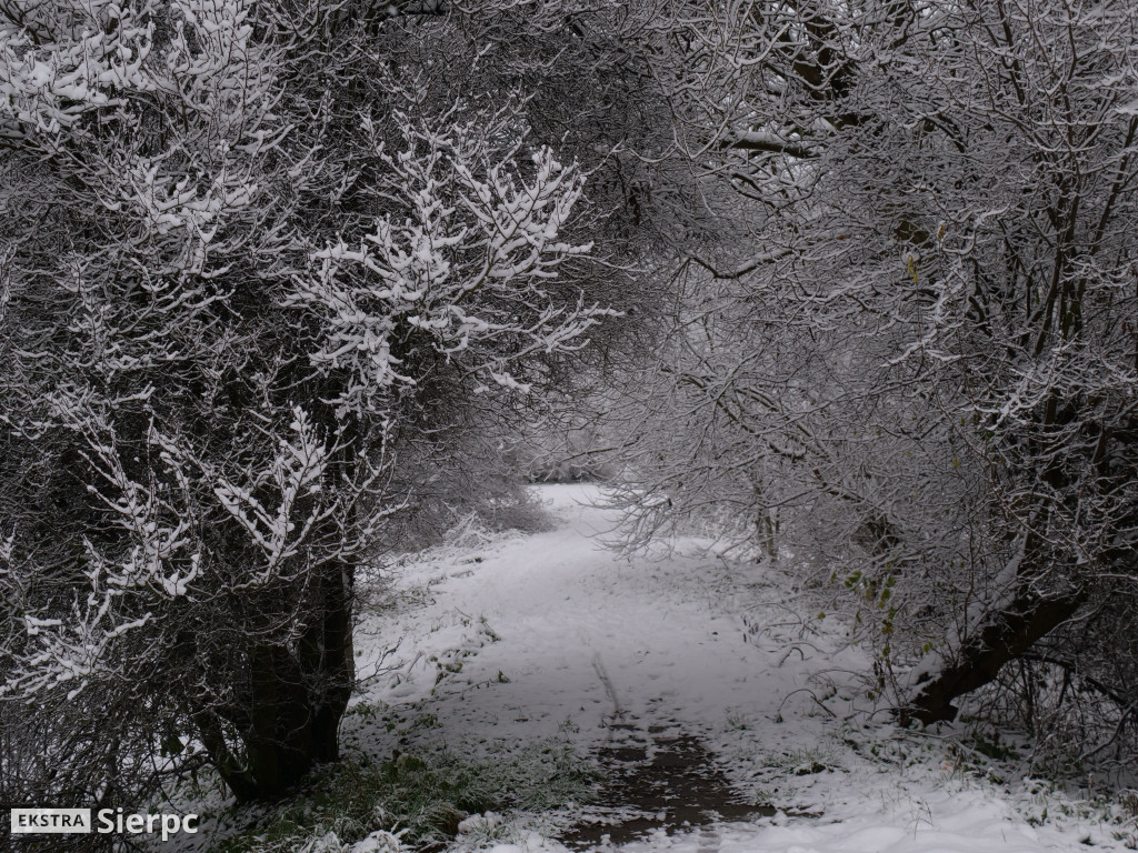 Zima na sierpeckim Dołku