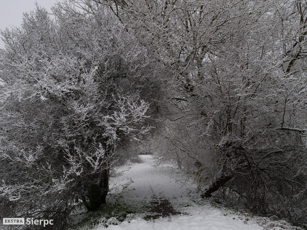 Zima na sierpeckim Dołku