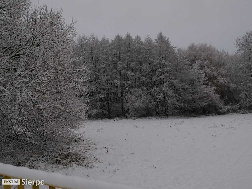 Zima na sierpeckim Dołku