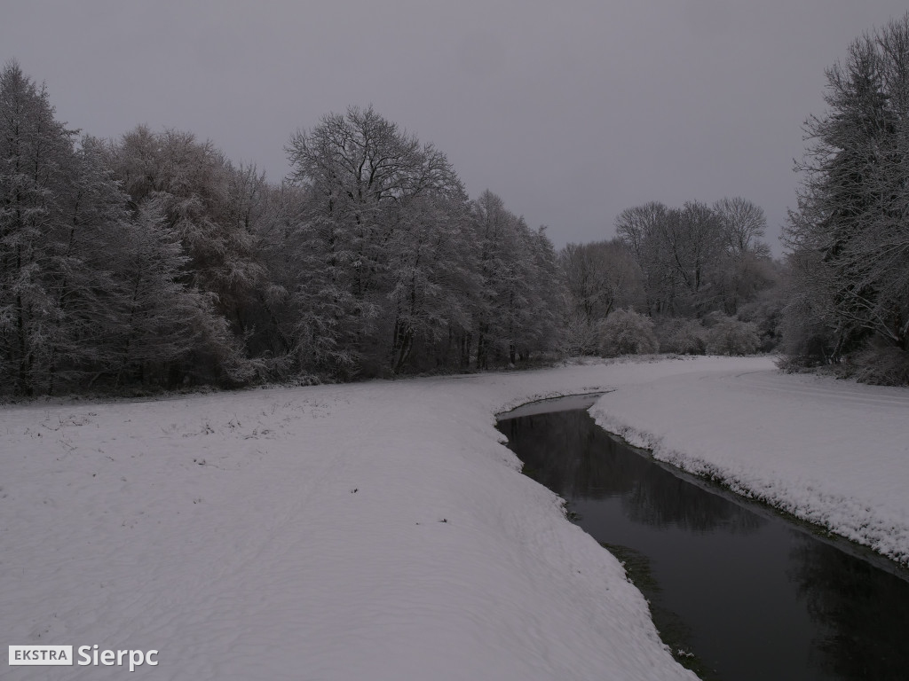 Zima na sierpeckim Dołku