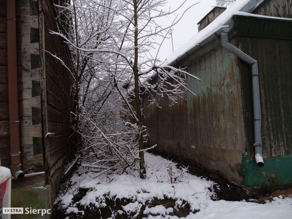 Zima na sierpeckim Dołku
