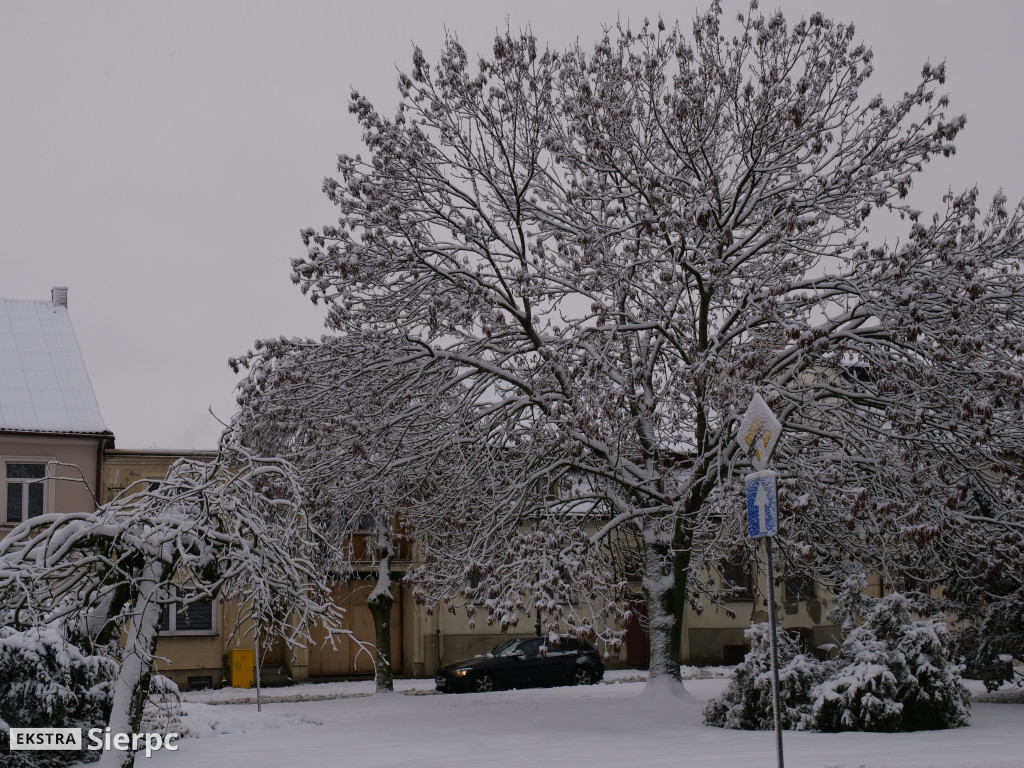 Zima na sierpeckim Dołku