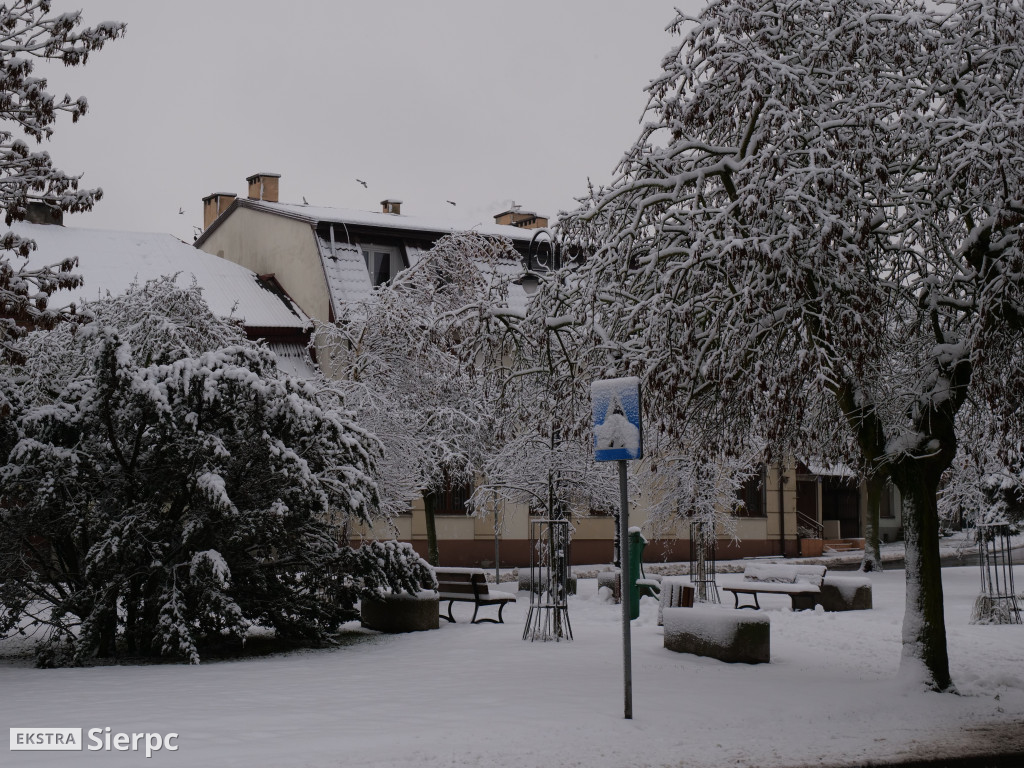 Zima na sierpeckim Dołku