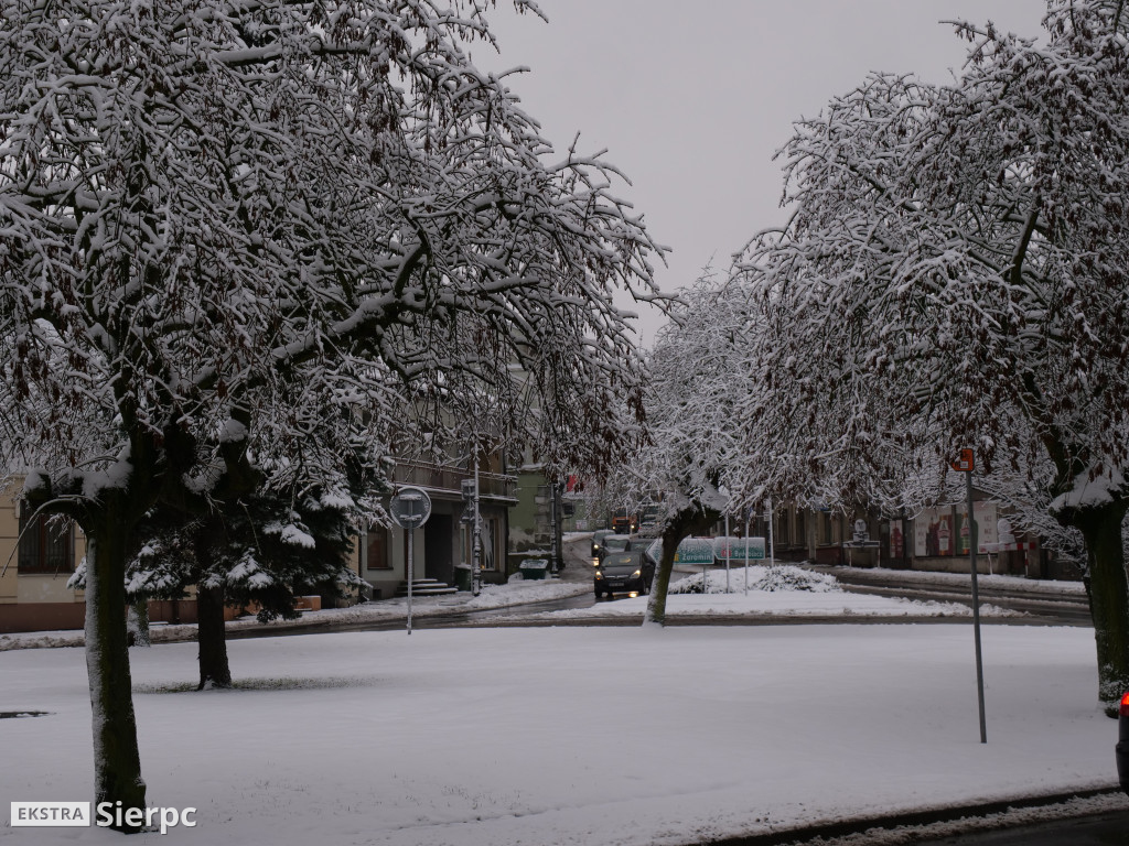 Zima na sierpeckim Dołku