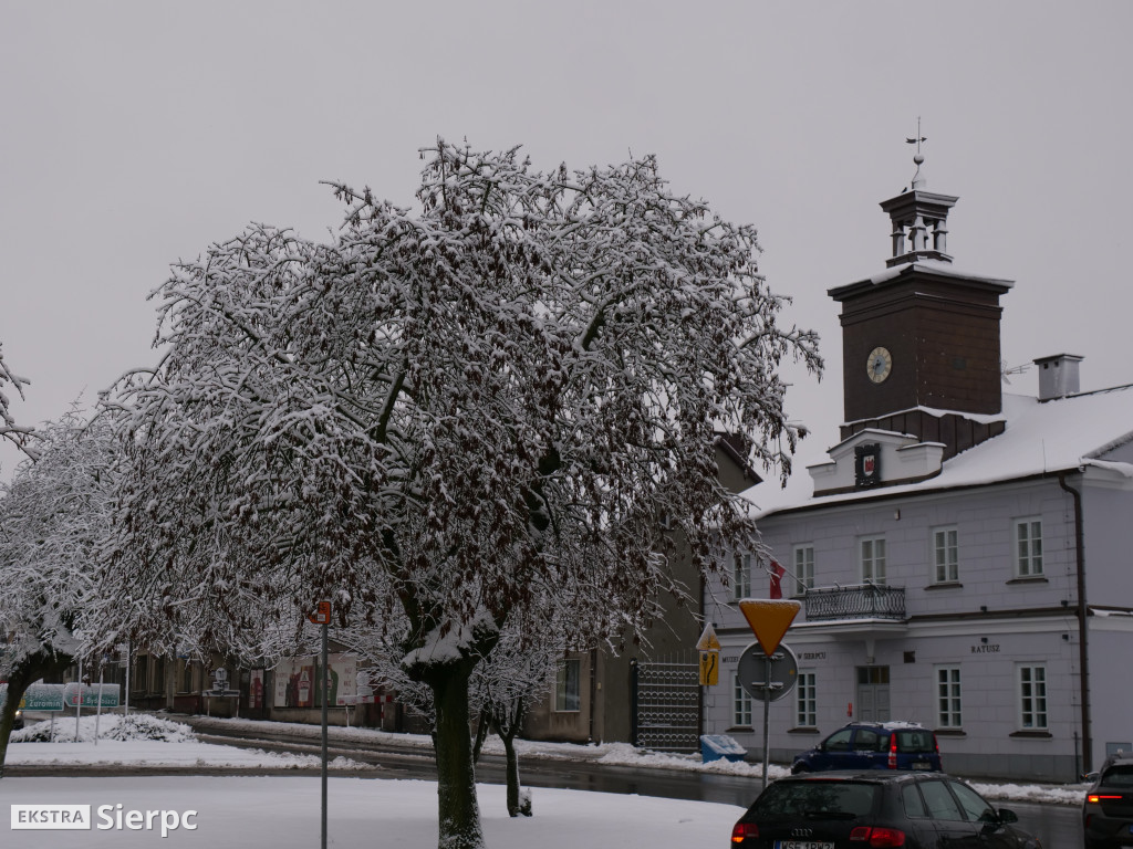 Zima na sierpeckim Dołku
