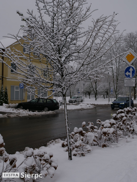 Zima na sierpeckim Dołku